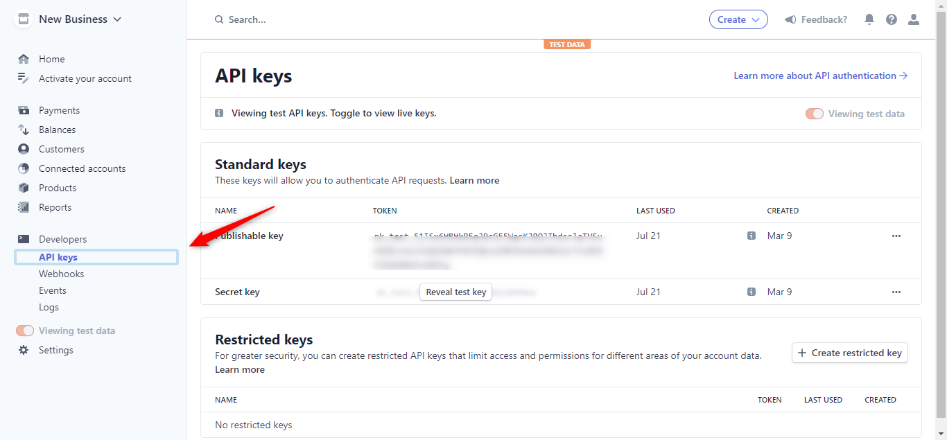 Stripe Api Key